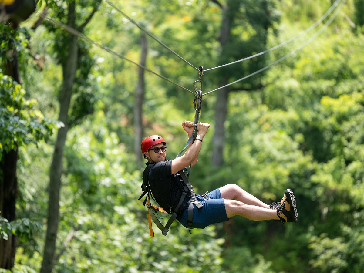 Zip Lining